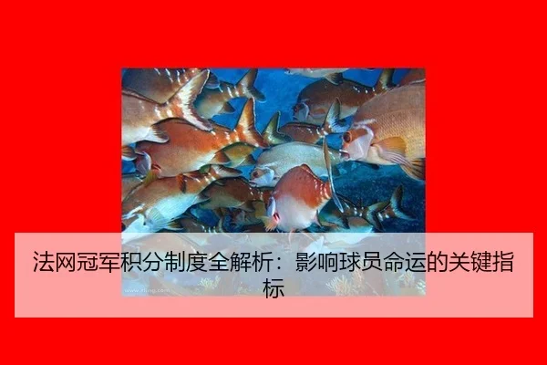 fa-wang-guan-jun-ji-fen-zhi-du-quan-jie-xi-ying-xiang-qiu-yuan-ming-yun-de-guan-jian-zhi-biao-2-765.jpg